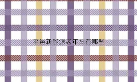 平邑新能源老年车有哪些(平邑县新能源有限公司)