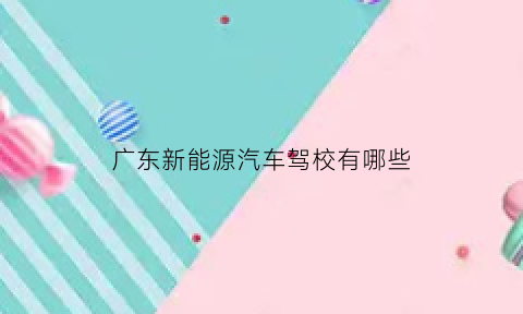 广东新能源汽车驾校有哪些