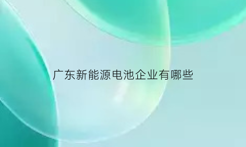 广东新能源电池企业有哪些(广东新能源有限公司介绍)