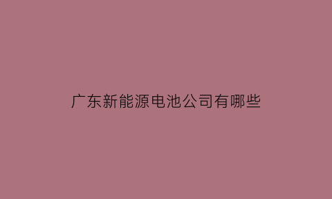 广东新能源电池公司有哪些