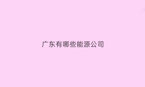 广东有哪些能源公司