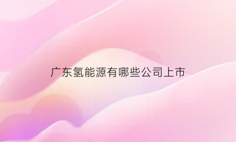 广东氢能源有哪些公司上市