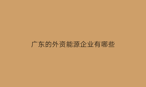 广东的外资能源企业有哪些