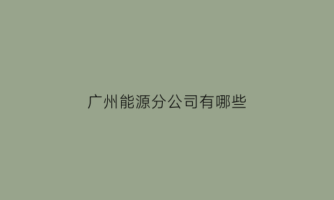 广州能源分公司有哪些