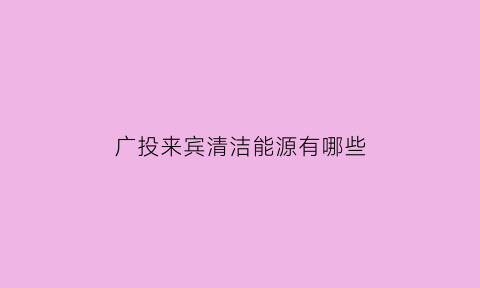 广投来宾清洁能源有哪些