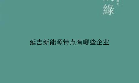 延吉新能源特点有哪些企业