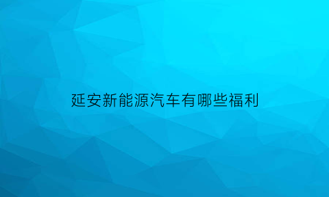 延安新能源汽车有哪些福利(延安新能源充电站)