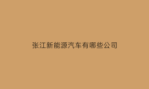 张江新能源汽车有哪些公司