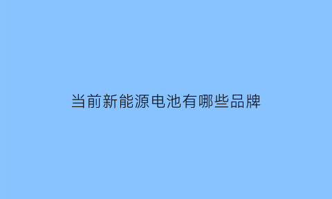 当前新能源电池有哪些品牌