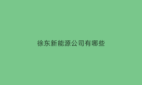 徐东新能源公司有哪些(徐东新能源公司有哪些部门)