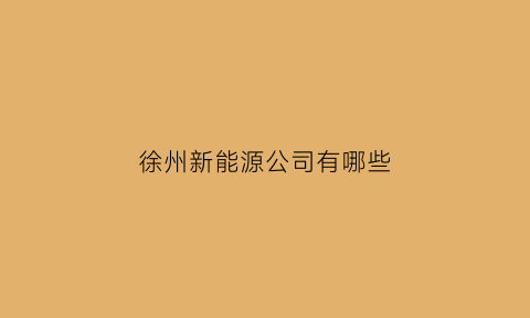 徐州新能源公司有哪些