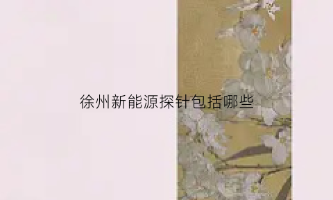 徐州新能源探针包括哪些