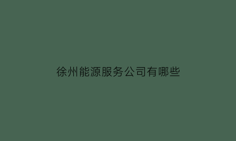 徐州能源服务公司有哪些