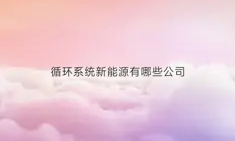 循环系统新能源有哪些公司