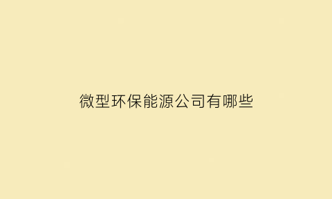 微型环保能源公司有哪些