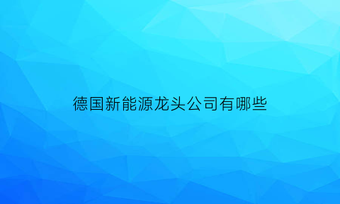 德国新能源龙头公司有哪些(德国新能源龙头公司有哪些品牌)