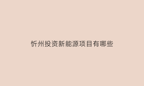 忻州投资新能源项目有哪些