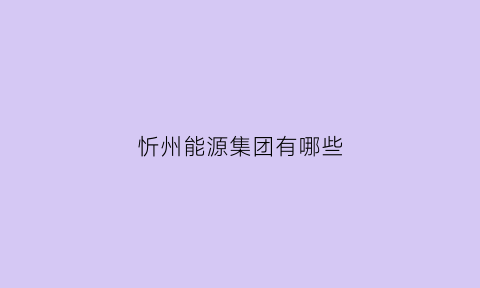 忻州能源集团有哪些