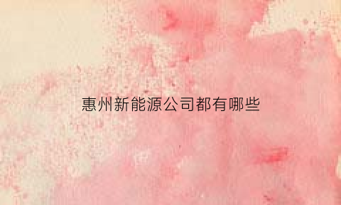 惠州新能源公司都有哪些