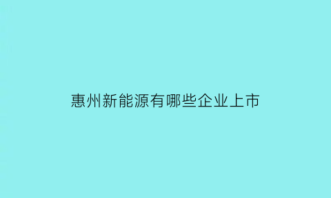 惠州新能源有哪些企业上市