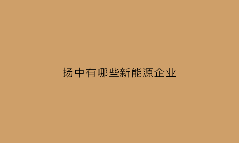 扬中有哪些新能源企业