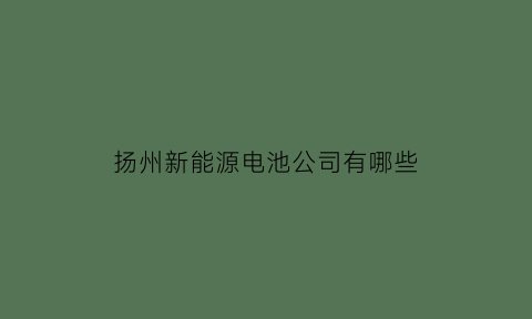 扬州新能源电池公司有哪些