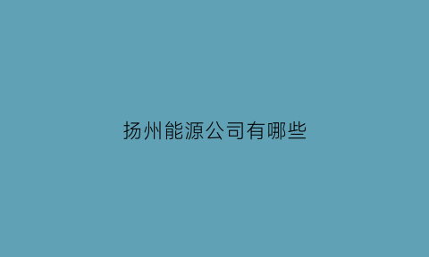 扬州能源公司有哪些(扬州新能源有限公司)