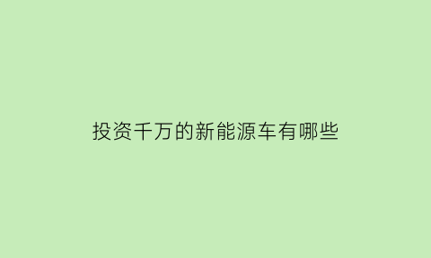 投资千万的新能源车有哪些(1000万能投资什么)