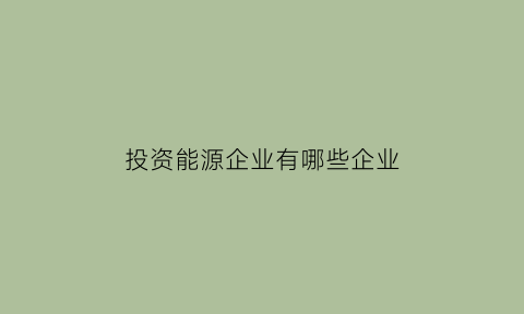 投资能源企业有哪些企业