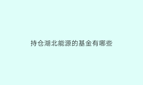 持仓湖北能源的基金有哪些