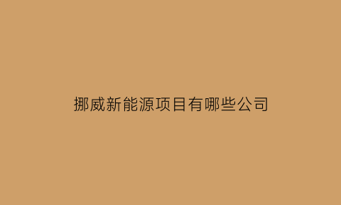 挪威新能源项目有哪些公司