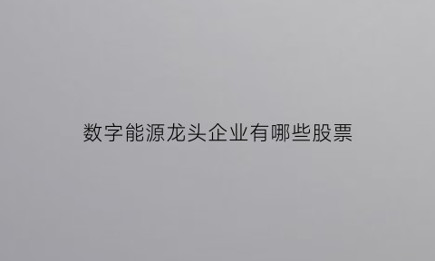 数字能源龙头企业有哪些股票(数字能源龙头企业有哪些股票板块)