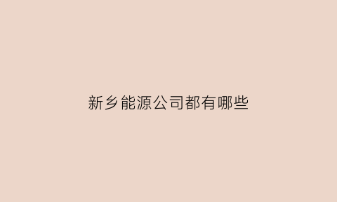 新乡能源公司都有哪些