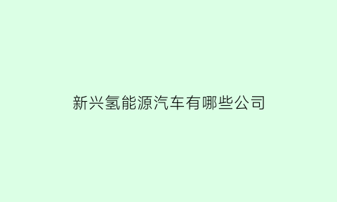 新兴氢能源汽车有哪些公司