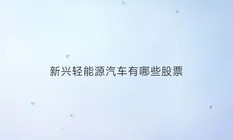 新兴轻能源汽车有哪些股票