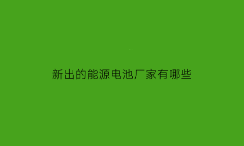 新出的能源电池厂家有哪些