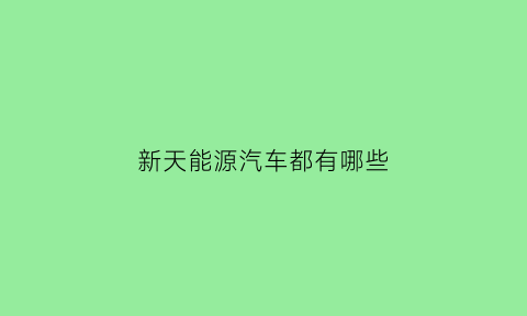 新天能源汽车都有哪些(新天绿能公司介绍)