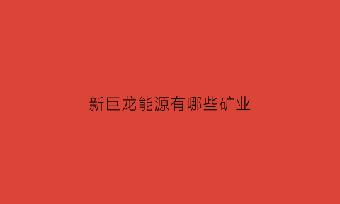 新巨龙能源有哪些矿业(新巨龙能源公司)