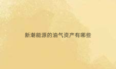 新潮能源的油气资产有哪些(新潮能源油气田规模)