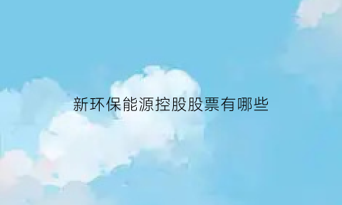 新环保能源控股股票有哪些