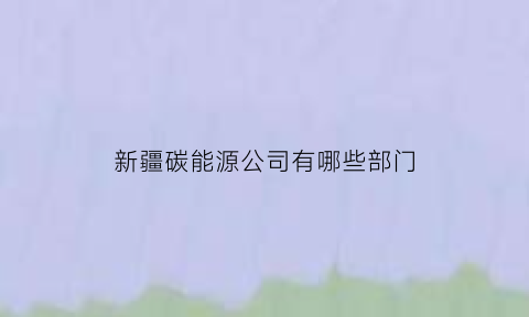 新疆碳能源公司有哪些部门