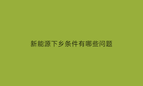 新能源下乡条件有哪些问题