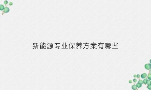 新能源专业保养方案有哪些