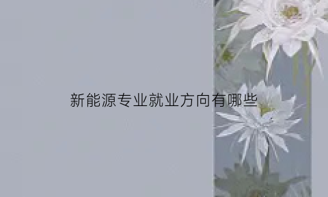 新能源专业就业方向有哪些