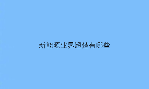 新能源业界翘楚有哪些(新能源业界翘楚有哪些企业)