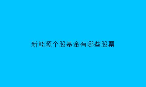 新能源个股基金有哪些股票