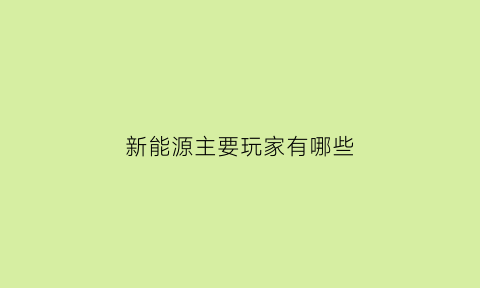 新能源主要玩家有哪些(新能源行业代表人物)