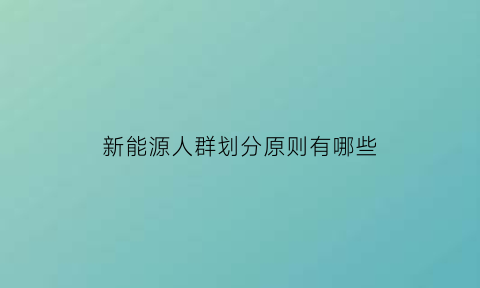 新能源人群划分原则有哪些