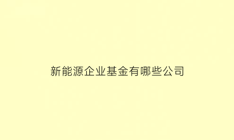 新能源企业基金有哪些公司