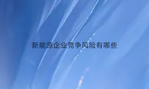 新能源企业竞争风险有哪些